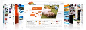 webdesign-pic4